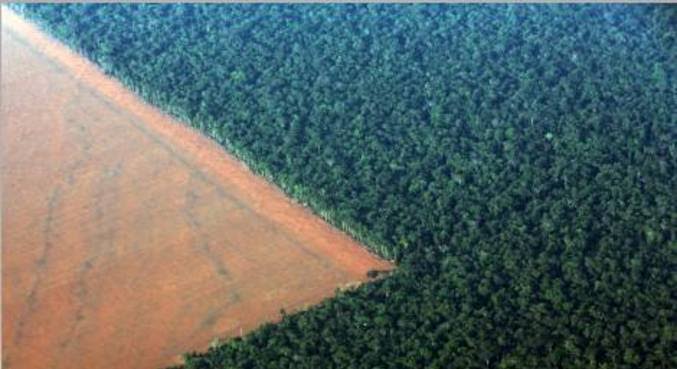 Leia mais sobre o artigo STF julga suposta omissão da União sobre desmatamento na Amazônia