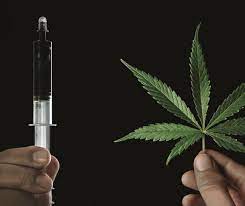 Anvisa aprova mais um produto medicinal à base de Cannabis