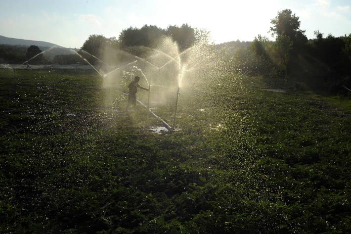 Leia mais sobre o artigo Escassez de água pode piorar em mais de 80% das terras agrícolas do mundo até 2050, alerta estudo