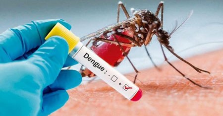 Leia mais sobre o artigo Dengue: DF registra 26,8 mil casos nos primeiros meses de 2022