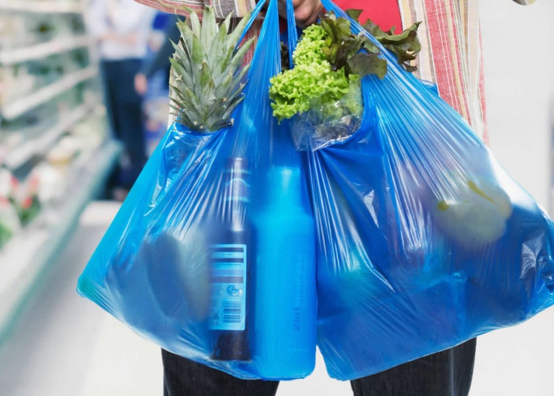 Leia mais sobre o artigo GDF regulamenta proibição de sacolas plásticas
