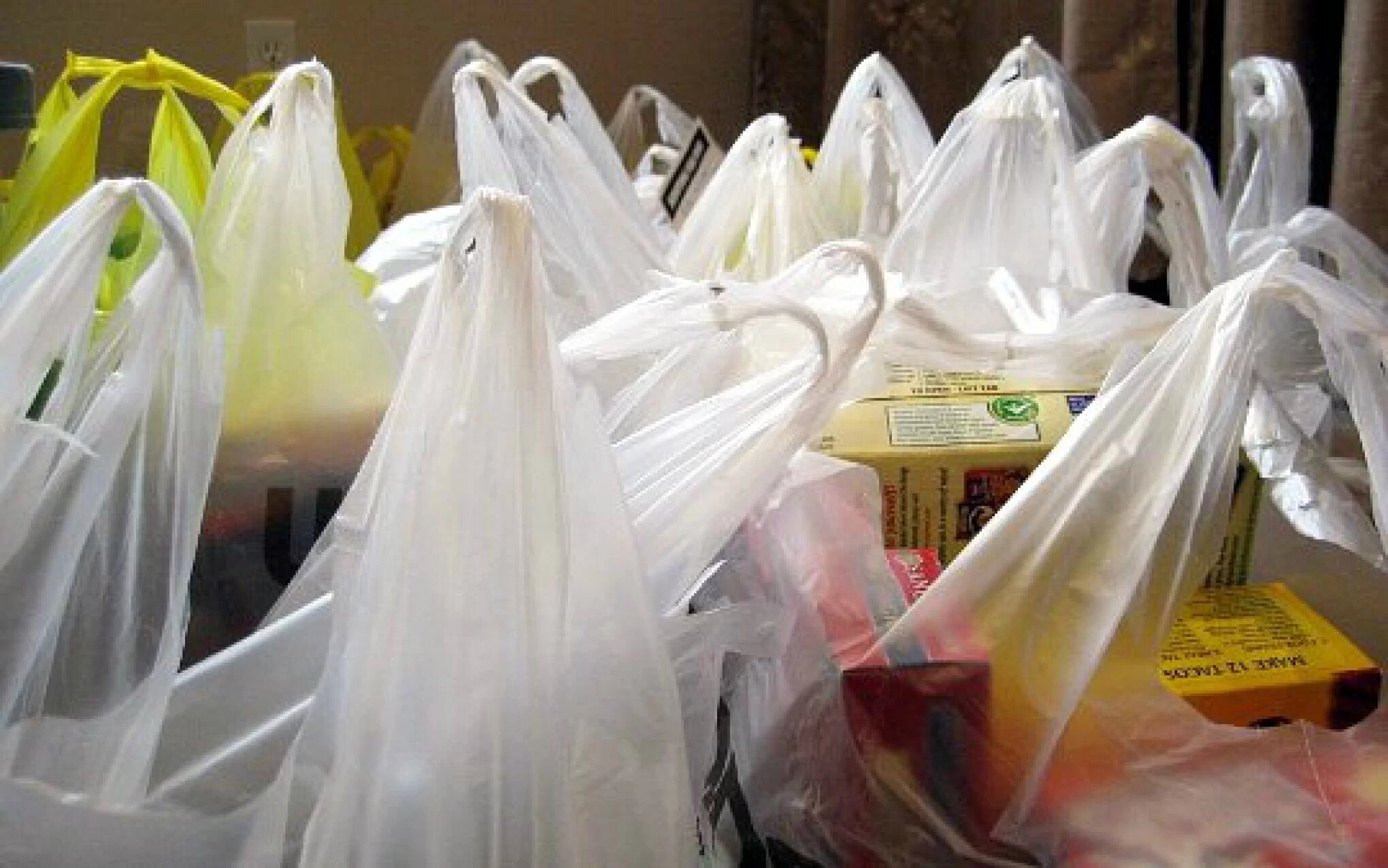 Leia mais sobre o artigo Distritais devem alterar legislação que proibiu uso de sacolas plásticas