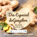 Dia Especial do Gengibre: Evento vai comemorar o poder da raiz na mesa do brasiliense