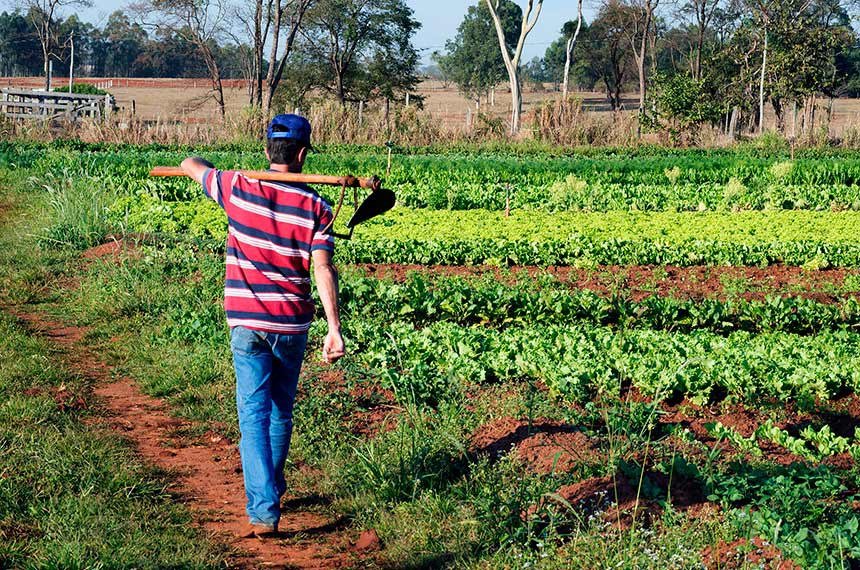 Leia mais sobre o artigo Desenrola Rural ultrapassa meta e soma 313 mil operações de renegociação de dívidas