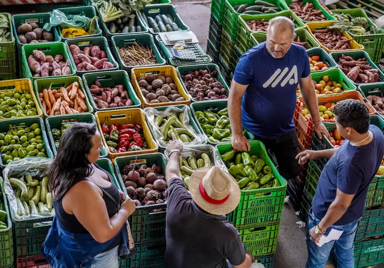 Leia mais sobre o artigo Inflação de julho fica em 0,26%, com alimentos em queda e energia elétrica em alta